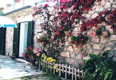 Terrasse, Casa Natascha, Ferienwohnungen, Capoliveri, Insel Elba