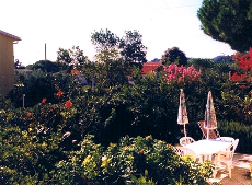 Garten, Ferienhaus Lapucci, Marina di Campo, Insel Elba